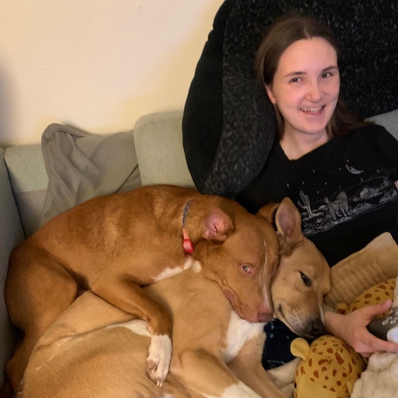 Meet your Posher, Savannah - Picture 7 of 8